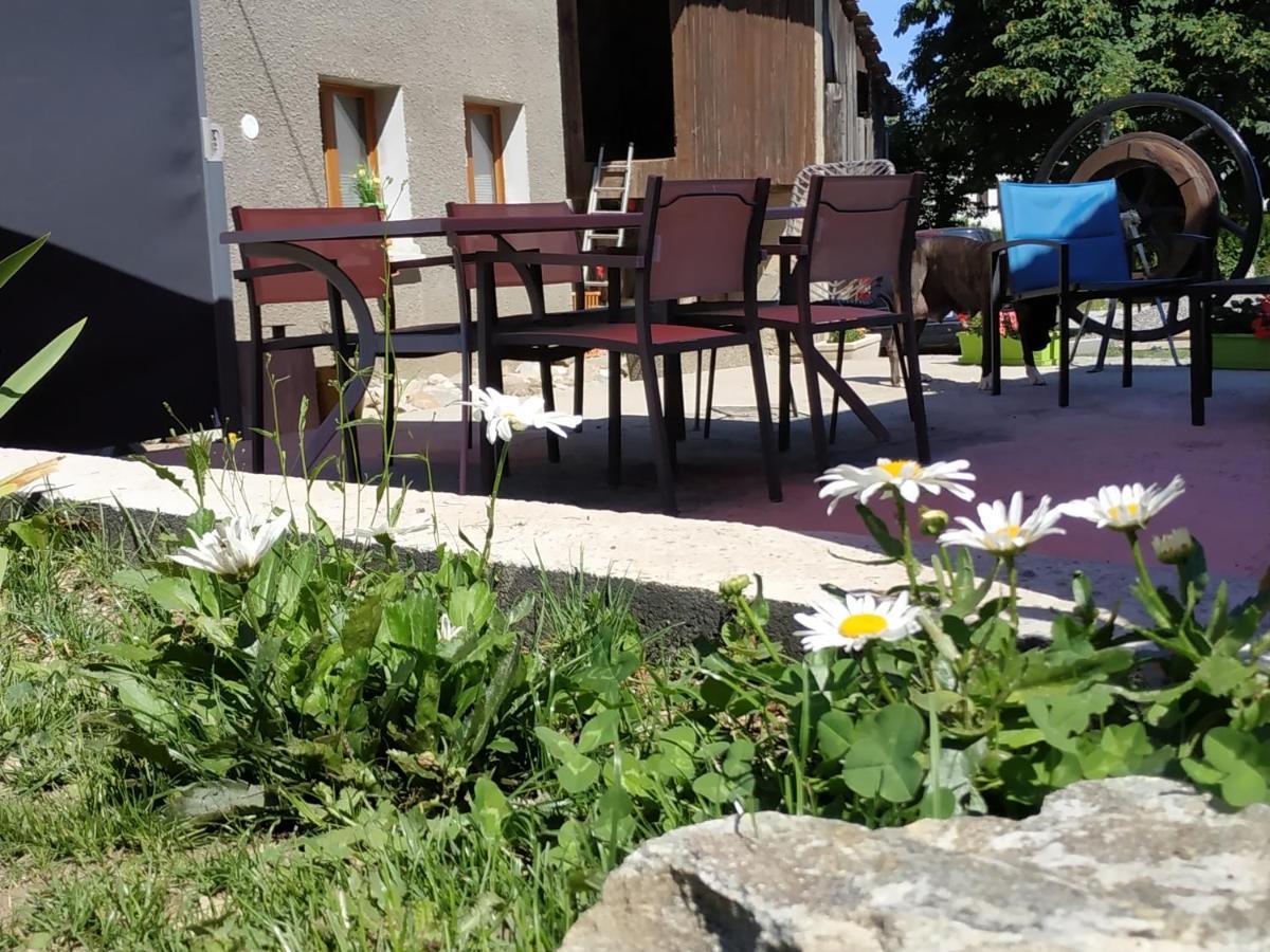 Maison D'Hotes Des Bassins D'Oche Saint-Paul-en-Chablais Екстер'єр фото